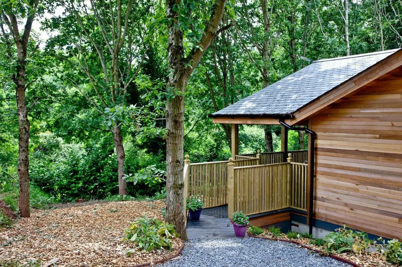 Cedar Lodge, South View Lodges, إكزيتر بيت للعطل