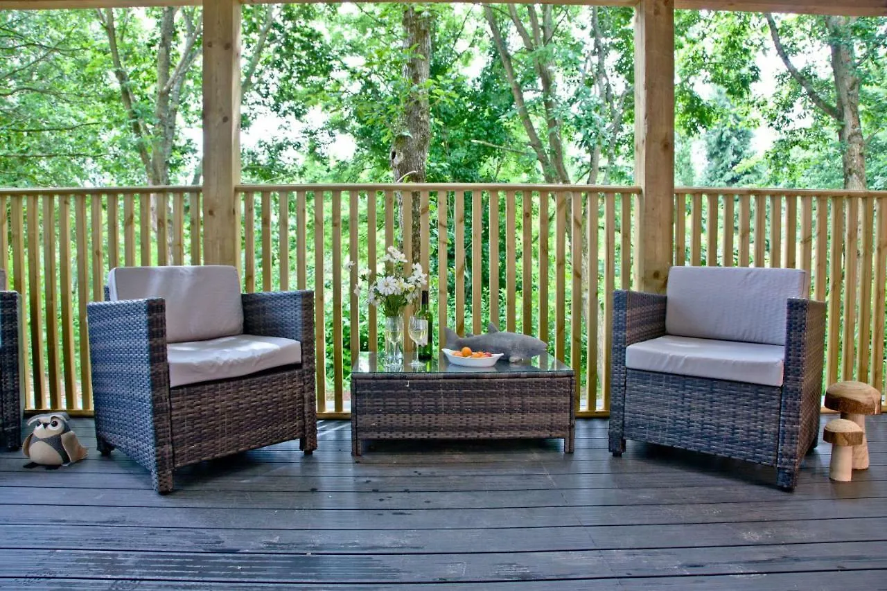 Cedar Lodge, South View Lodges, إكزيتر بيت للعطل